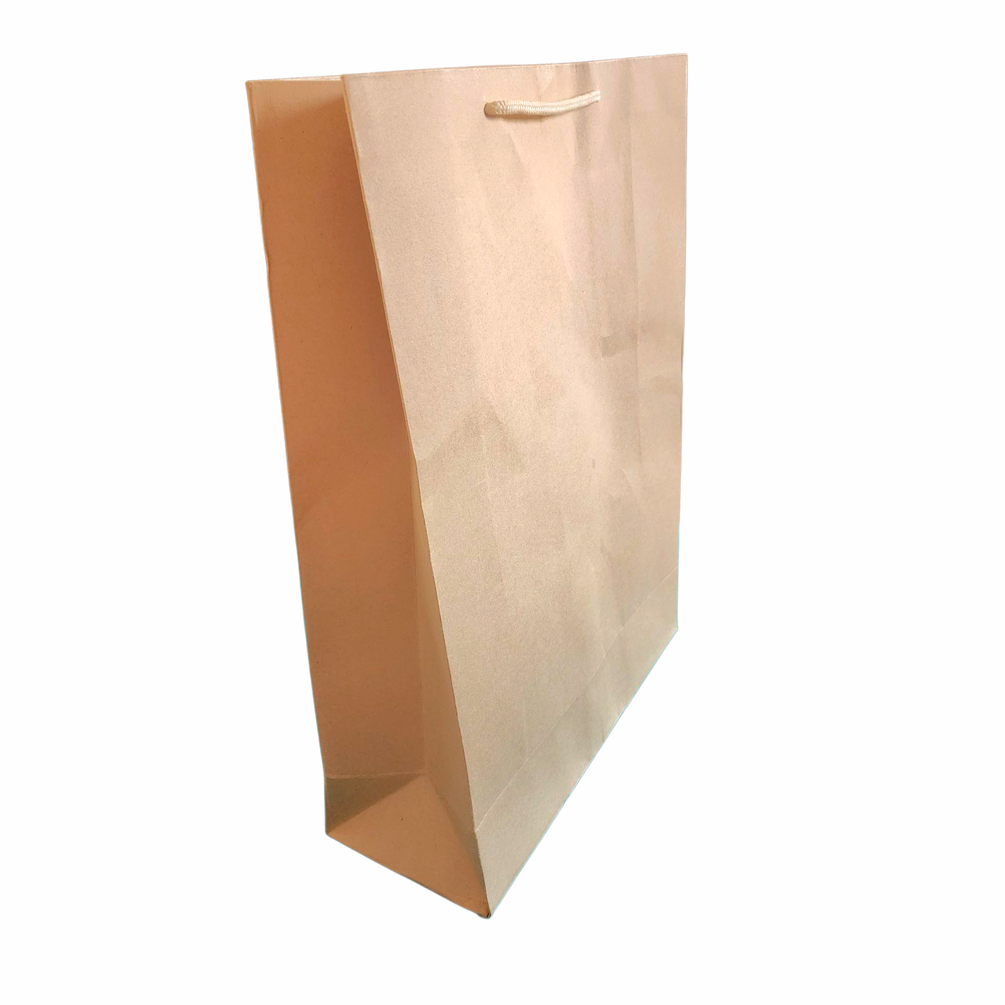 Heavy Craft Gift Bag